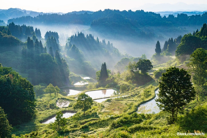 Niigata