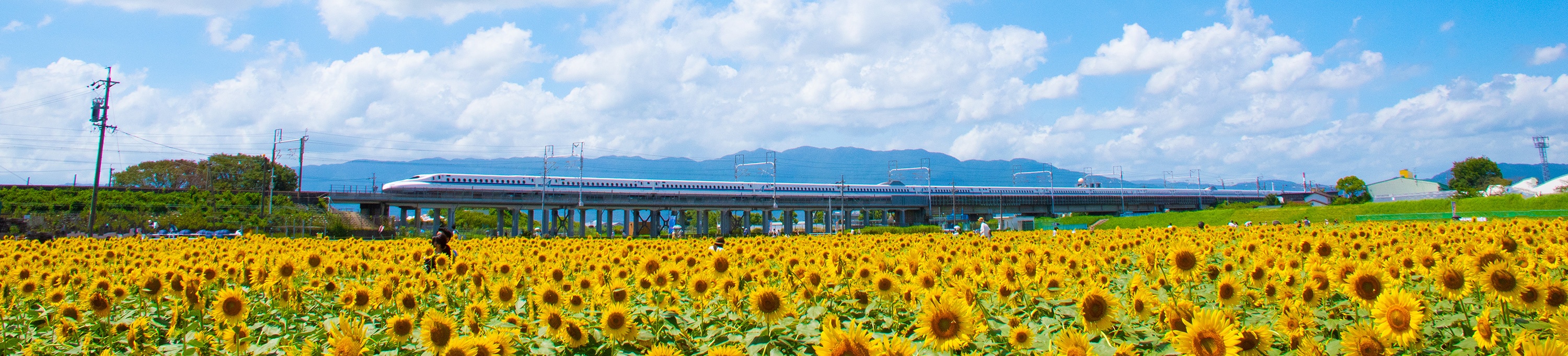 Shinkansen